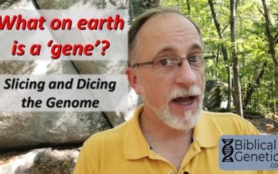 What on earth is a ‘gene’? Slicing and dicing the genome.