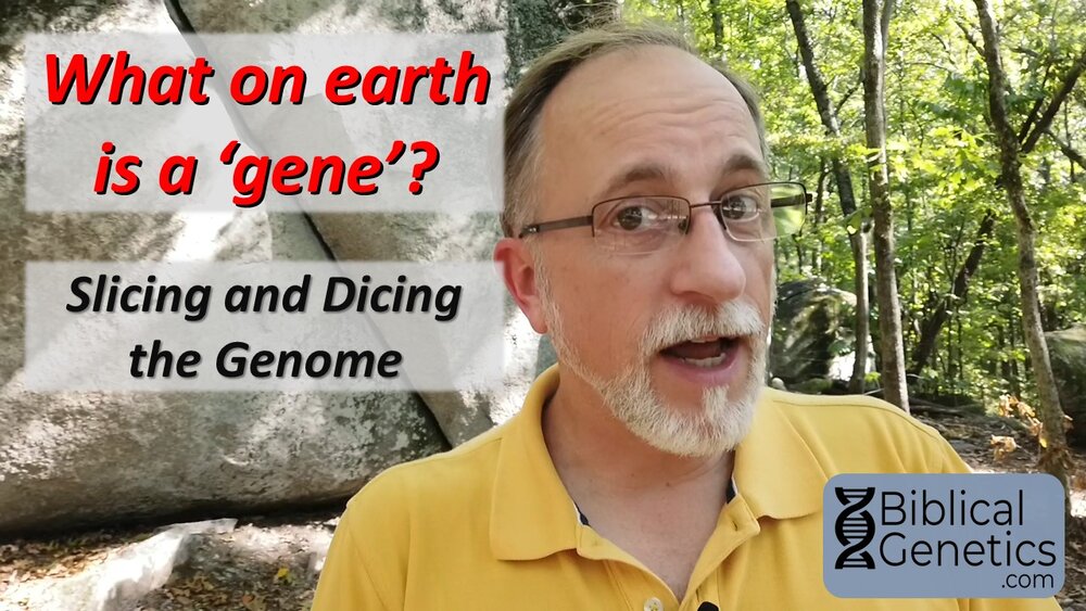 What on earth is a ‘gene’? Slicing and dicing the genome.