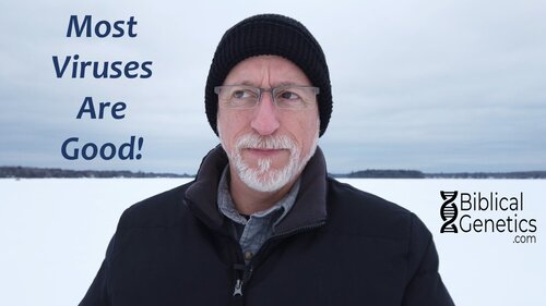 Most Viruses are Good