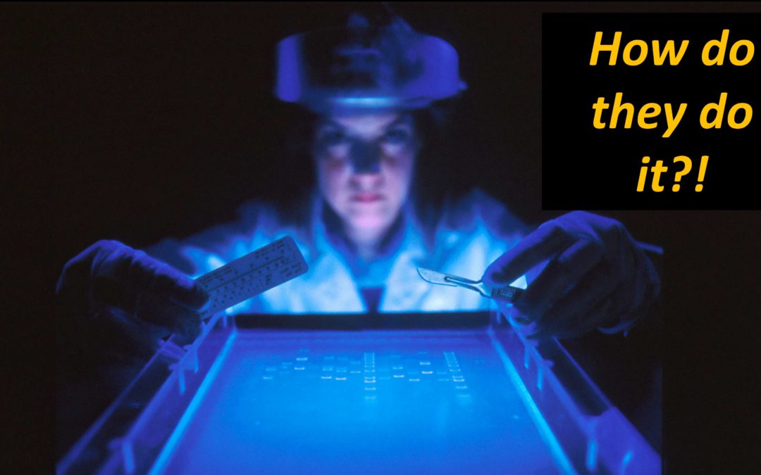 The Mystery of DNA Sequencing