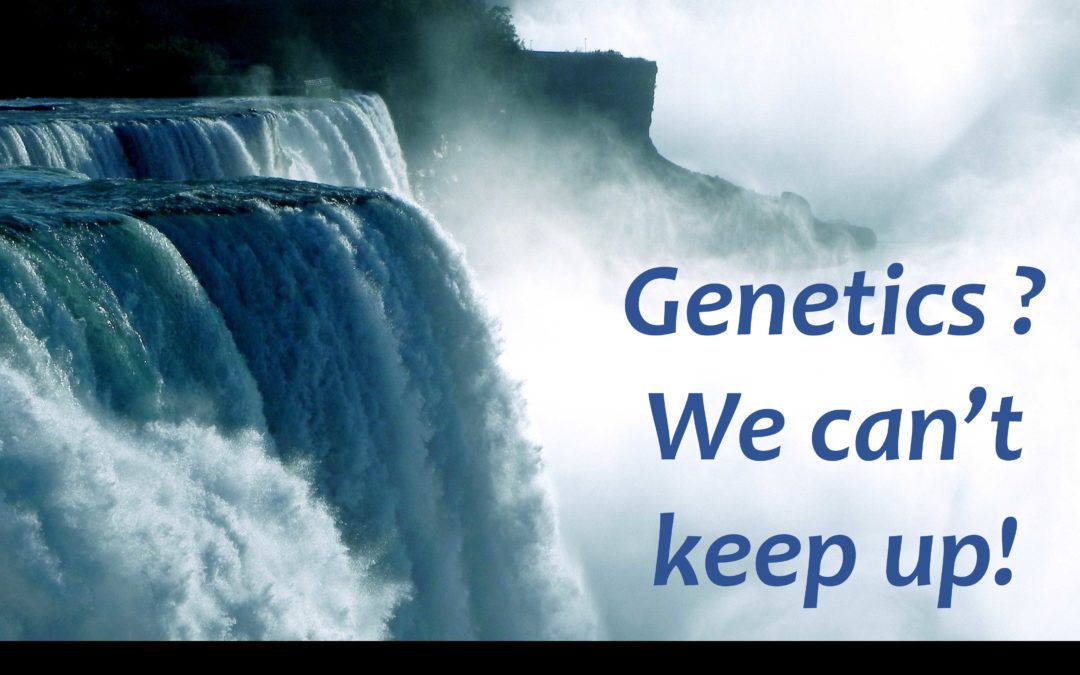 A Deluge of Data: why theory is struggling to keep up with modern genetics