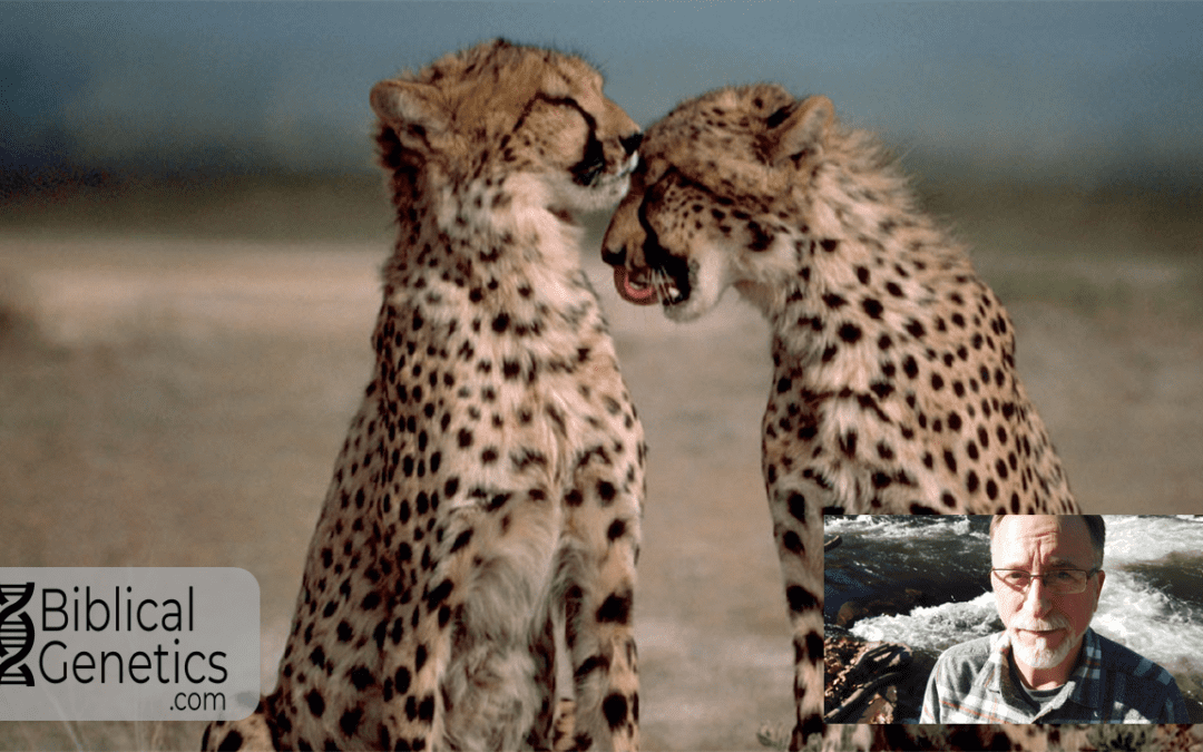 Evolutionary Bottlenecks are Disastrous