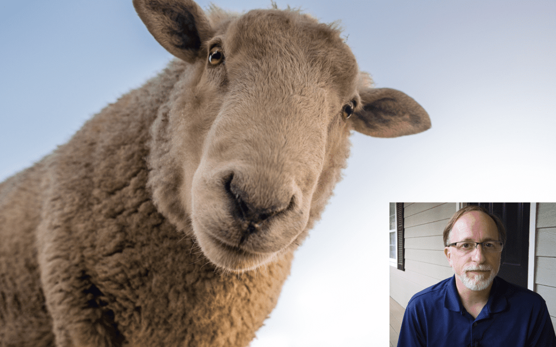 Jacob’s Livestock Breeding Experiment