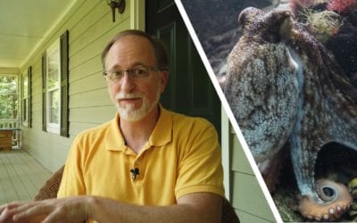 The octopus is from Mars, and other stories