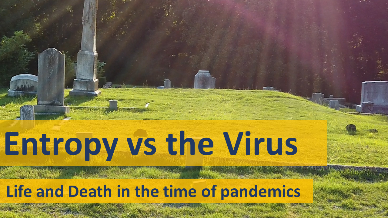 Pandemics Vs Entropy Biblical Genetics Pandemics vs entropy biblical genetics