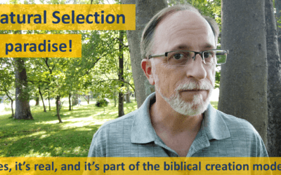 Natural Selection in Paradise