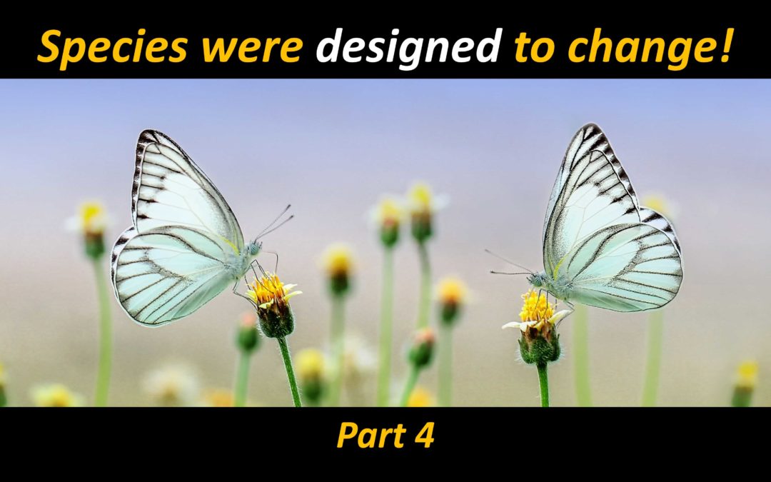 The Amazing Braided Baramin Concept is Intrinsic to Creation