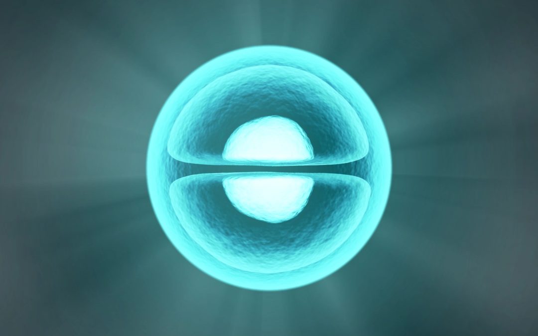 The Early Years of Fetal Tissue Research Were Extremely Disturbing