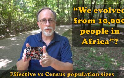 Did we evolve from 10,000 people in Africa?