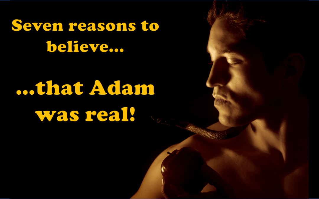Seven reasons to believe that Adam was real