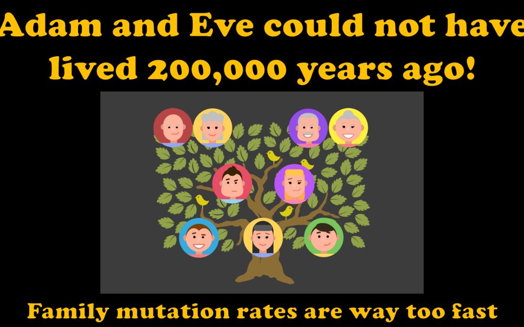 Adam and Eve did not live 200,000 years ago