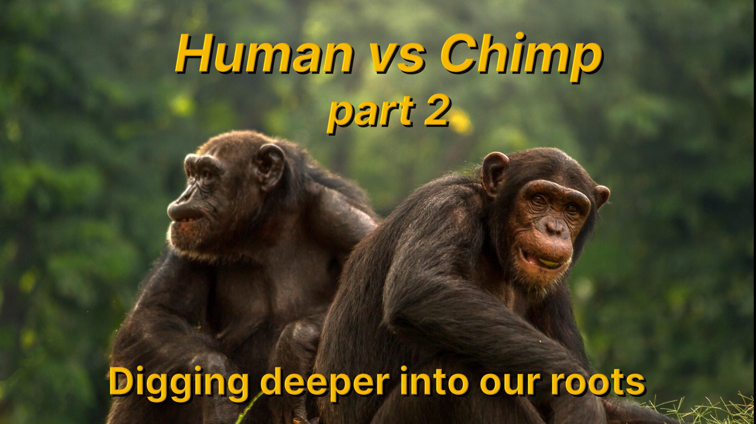 Human vs Chimp part 2 | Biblical Genetics