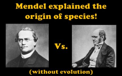 Mendel’s Law of Exponential Trait Combination