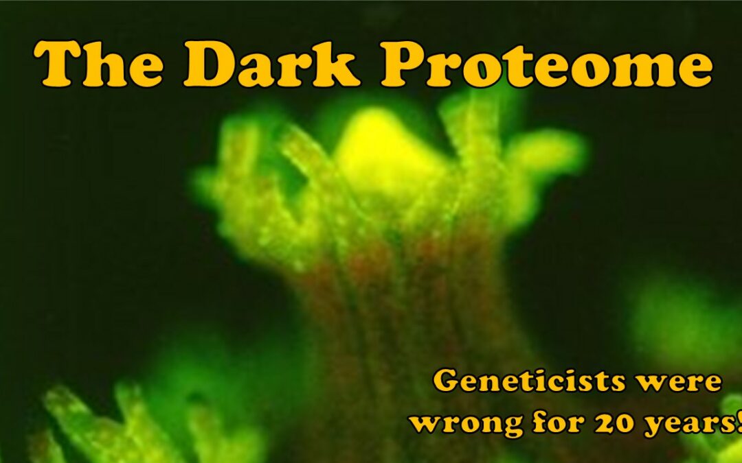 The Dark Proteome