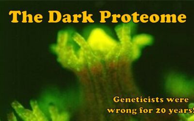The Dark Proteome