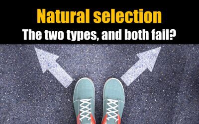 The two types of natural selection, and why each fails